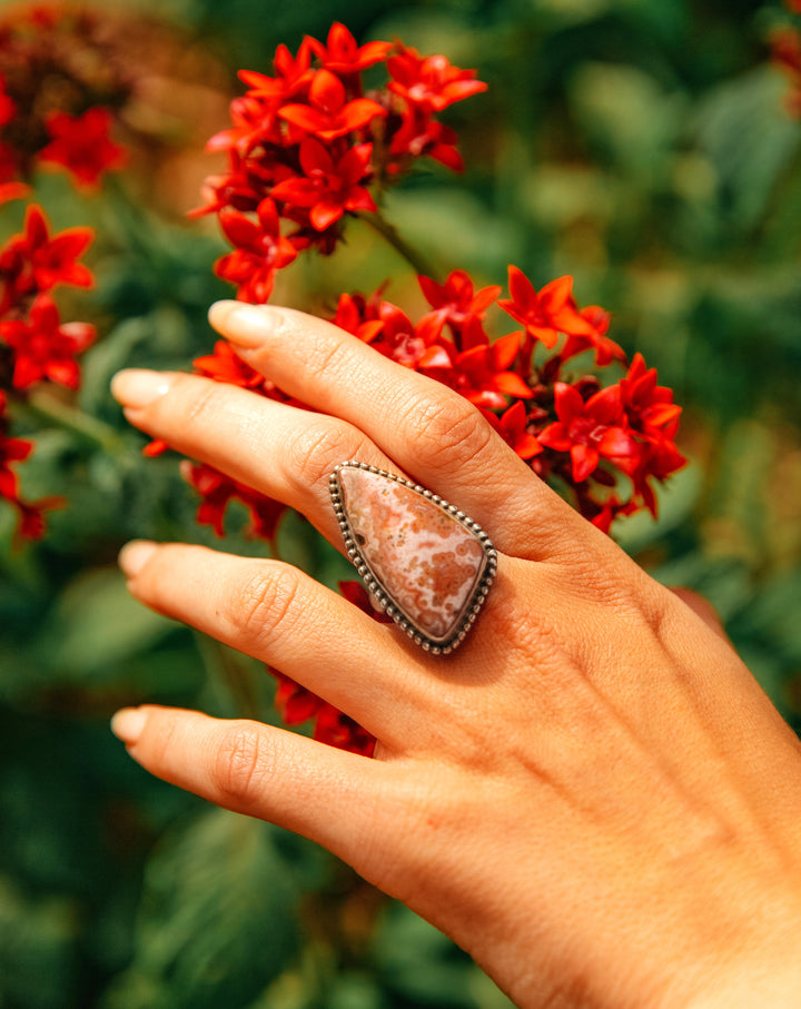 טבעת דונה -אבן ג'ספר אוקינוס